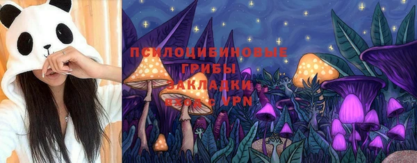 бошки Балахна